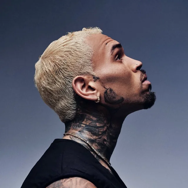 Chris Brown Dog-Mauling Accuser’s $12.9M Award Could Be Slashed